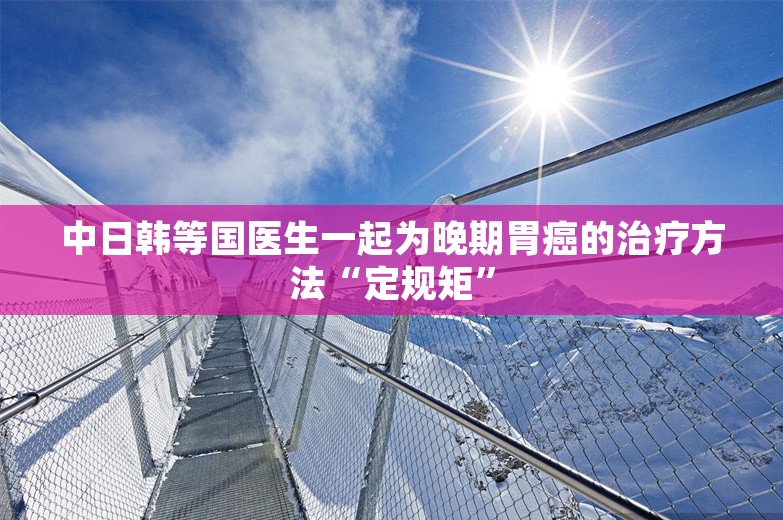 中日韩等国医生一起为晚期胃癌的治疗方法“定规矩”