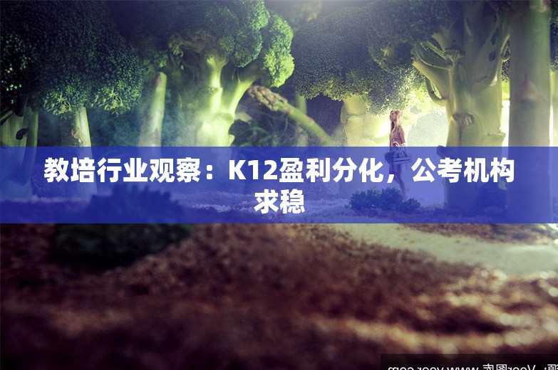 教培行业观察：K12盈利分化，公考机构求稳