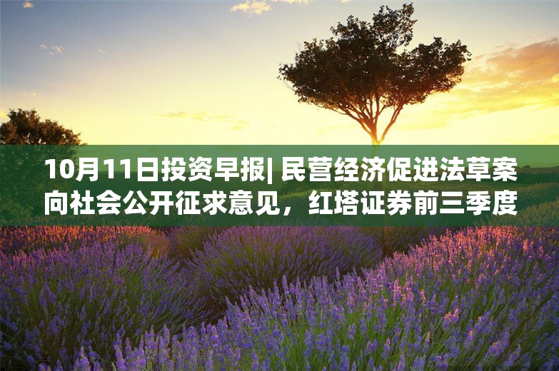 10月11日投资早报| 民营经济促进法草案向社会公开征求意见，红塔证券前三季度净利润同比预增203.85%，今日一只新股上市