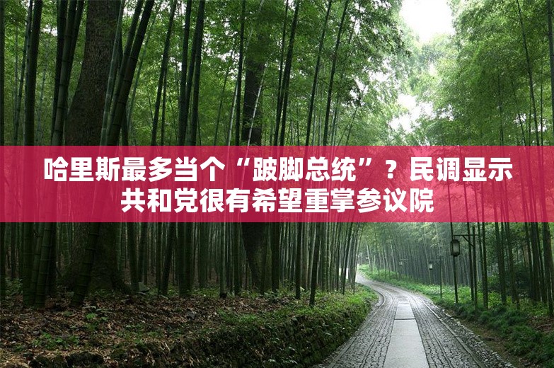 哈里斯最多当个“跛脚总统”？民调显示共和党很有希望重掌参议院