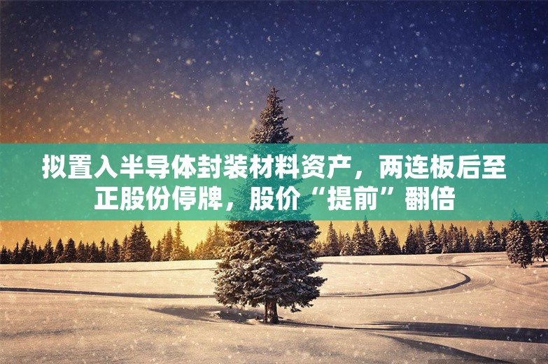 拟置入半导体封装材料资产，两连板后至正股份停牌，股价“提前”翻倍