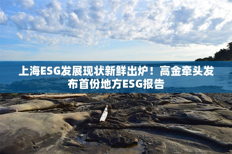 上海ESG发展现状新鲜出炉！高金牵头发布首份地方ESG报告