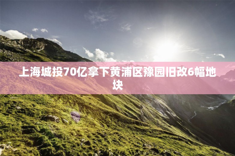 上海城投70亿拿下黄浦区豫园旧改6幅地块