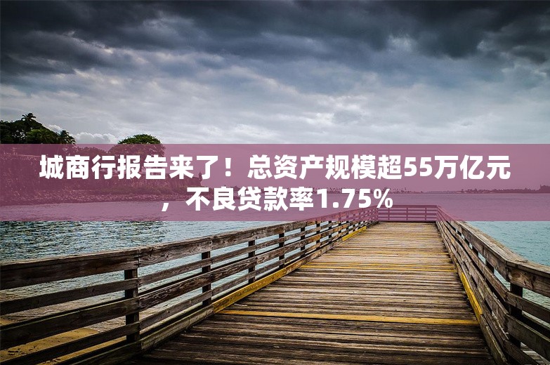 城商行报告来了！总资产规模超55万亿元，不良贷款率1.75%