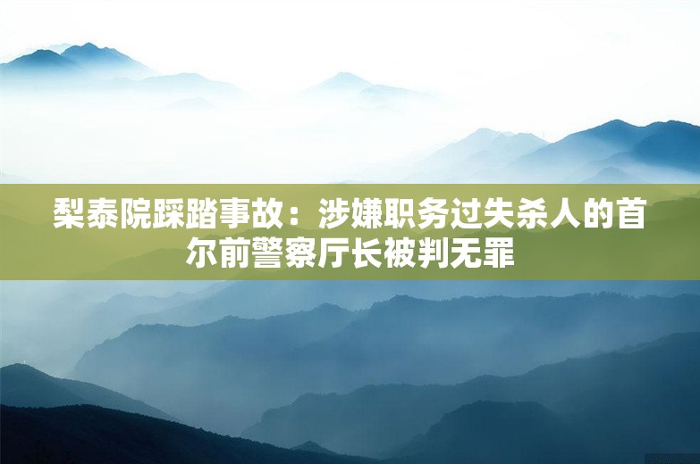 梨泰院踩踏事故：涉嫌职务过失杀人的首尔前警察厅长被判无罪