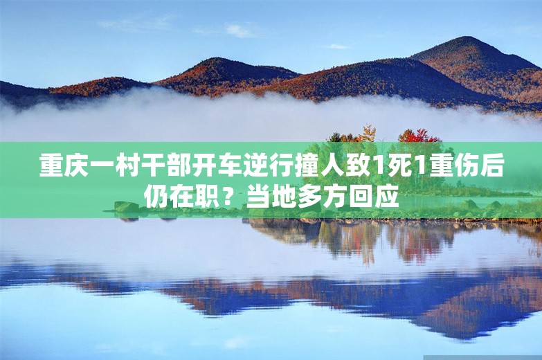 重庆一村干部开车逆行撞人致1死1重伤后仍在职？当地多方回应