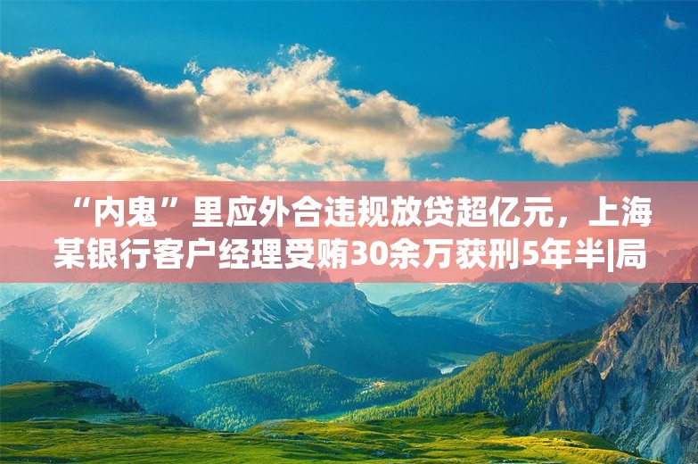 “内鬼”里应外合违规放贷超亿元，上海某银行客户经理受贿30余万获刑5年半|局外人