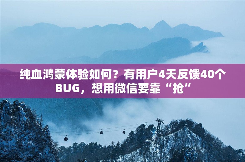 纯血鸿蒙体验如何？有用户4天反馈40个BUG，想用微信要靠“抢”