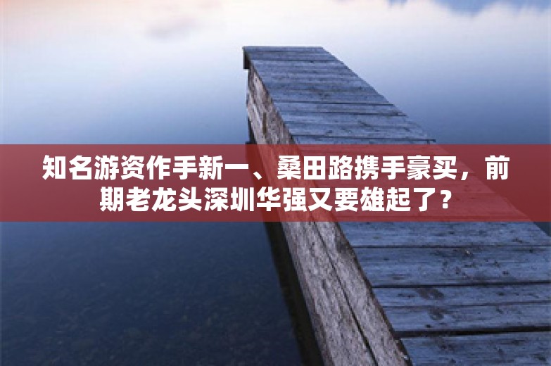 知名游资作手新一、桑田路携手豪买，前期老龙头深圳华强又要雄起了？