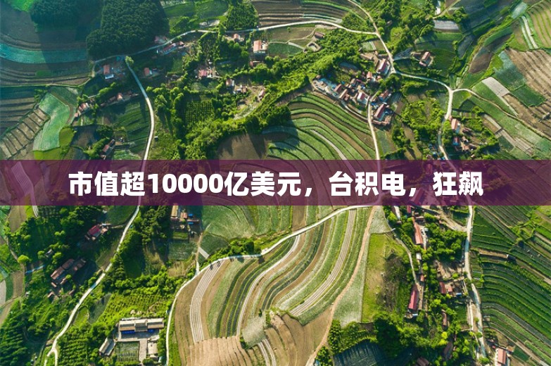 市值超10000亿美元，台积电，狂飙