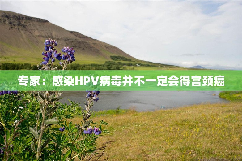 专家：感染HPV病毒并不一定会得宫颈癌