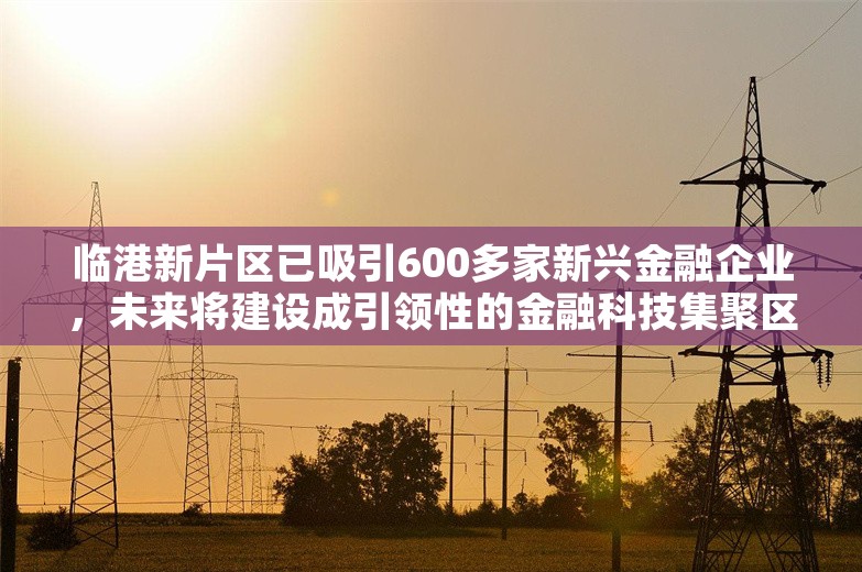 临港新片区已吸引600多家新兴金融企业，未来将建设成引领性的金融科技集聚区