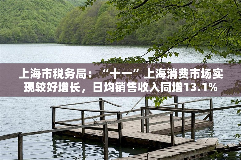 上海市税务局：“十一”上海消费市场实现较好增长，日均销售收入同增13.1%