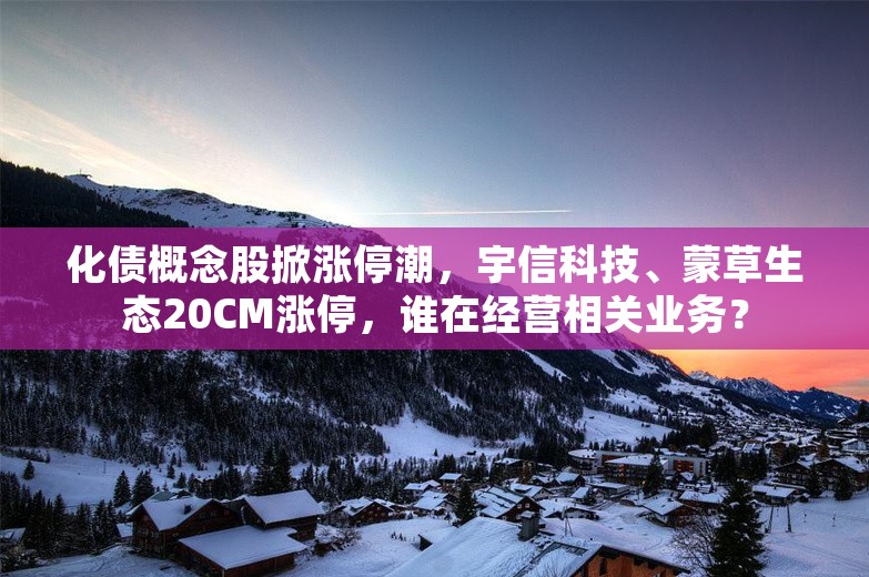 化债概念股掀涨停潮，宇信科技、蒙草生态20CM涨停，谁在经营相关业务？