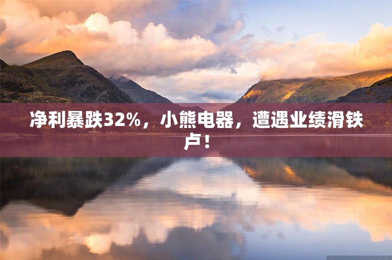 净利暴跌32%，小熊电器，遭遇业绩滑铁卢！