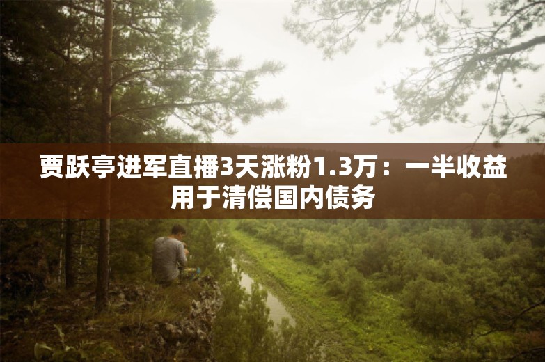 贾跃亭进军直播3天涨粉1.3万：一半收益用于清偿国内债务