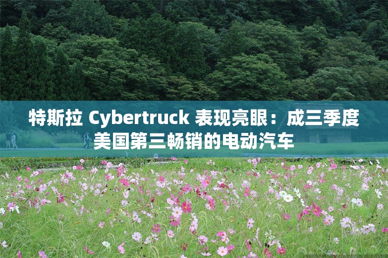 特斯拉 Cybertruck 表现亮眼：成三季度美国第三畅销的电动汽车