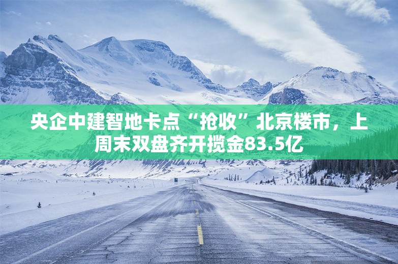 央企中建智地卡点“抢收”北京楼市，上周末双盘齐开揽金83.5亿