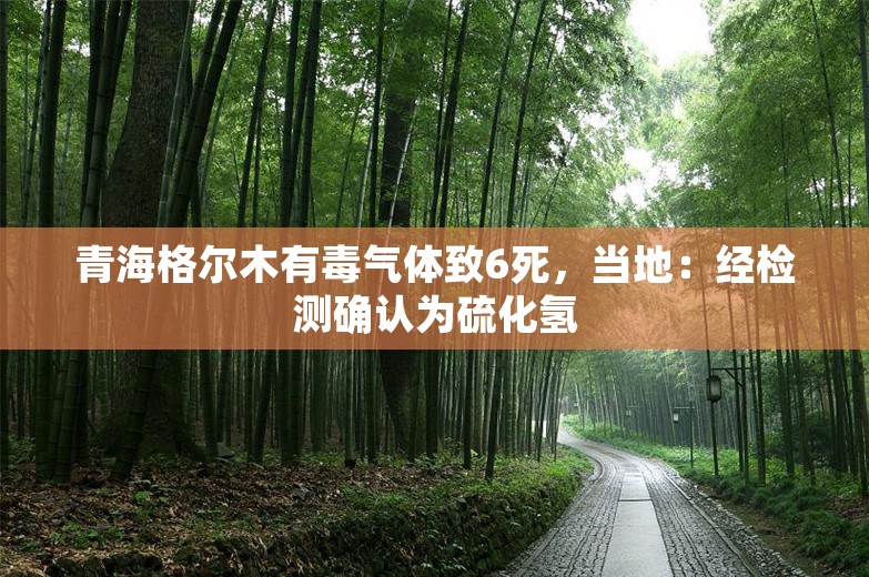 青海格尔木有毒气体致6死，当地：经检测确认为硫化氢