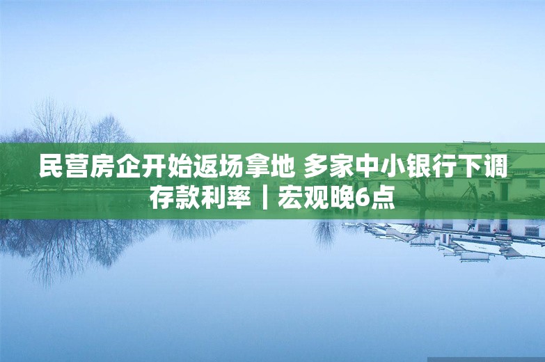 民营房企开始返场拿地 多家中小银行下调存款利率｜宏观晚6点