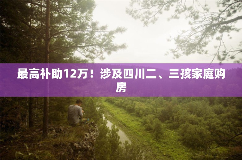 最高补助12万！涉及四川二、三孩家庭购房