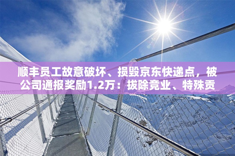 顺丰员工故意破坏、损毁京东快递点，被公司通报奖励1.2万：拔除竞业、特殊贡献奖；一公司强制全员连上37天班；传淘宝主播贷款发红包丨雷峰早报