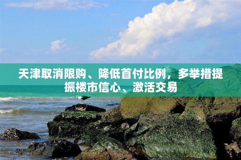 天津取消限购、降低首付比例，多举措提振楼市信心、激活交易