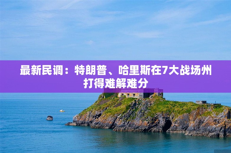 最新民调：特朗普、哈里斯在7大战场州打得难解难分