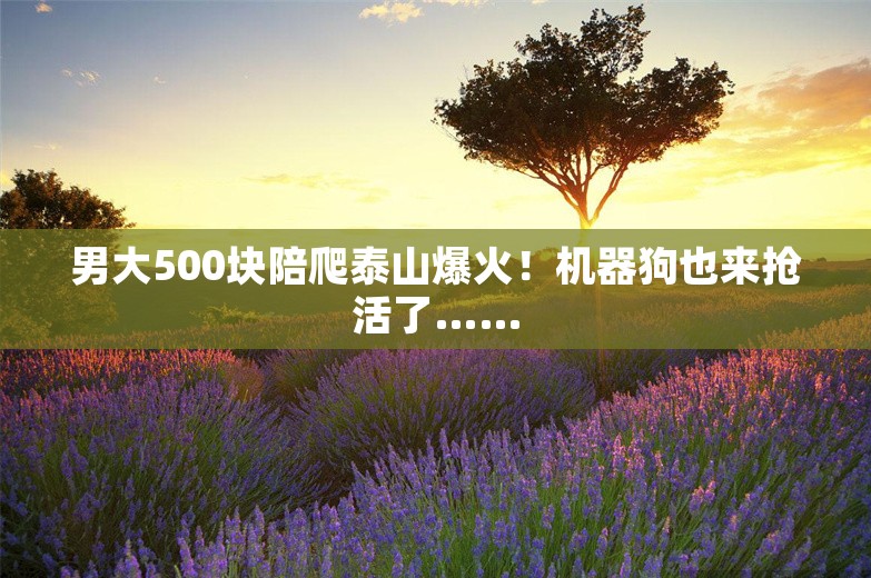 男大500块陪爬泰山爆火！机器狗也来抢活了……