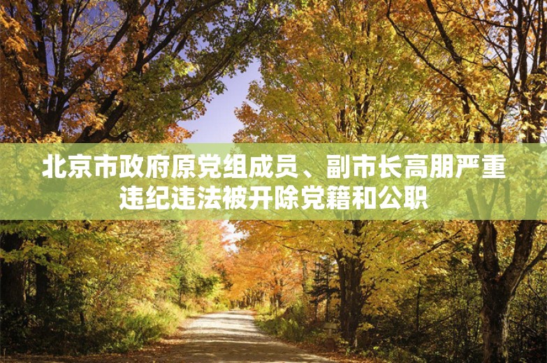 北京市政府原党组成员、副市长高朋严重违纪违法被开除党籍和公职