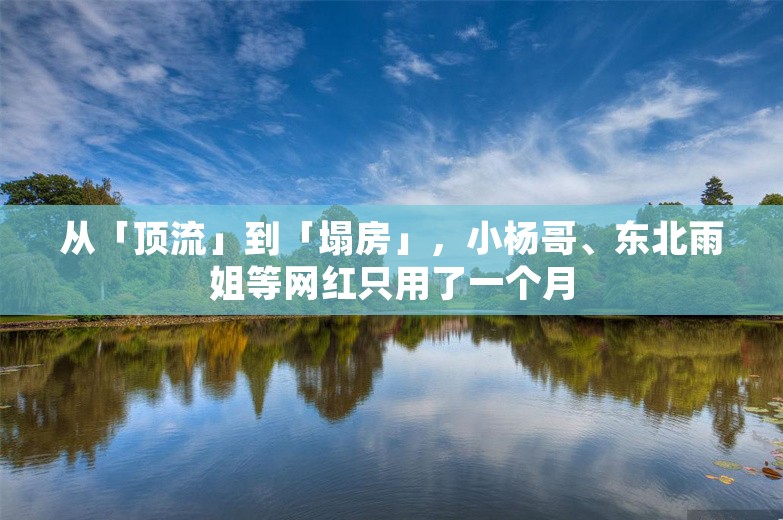 从「顶流」到「塌房」，小杨哥、东北雨姐等网红只用了一个月