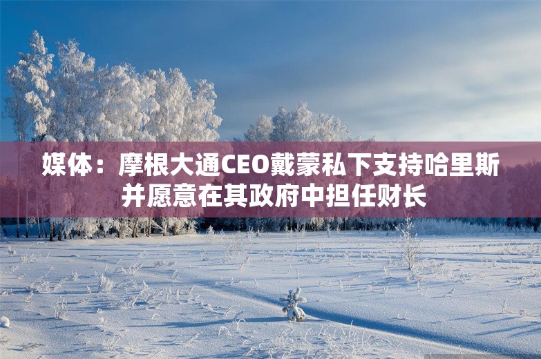 媒体：摩根大通CEO戴蒙私下支持哈里斯 并愿意在其政府中担任财长