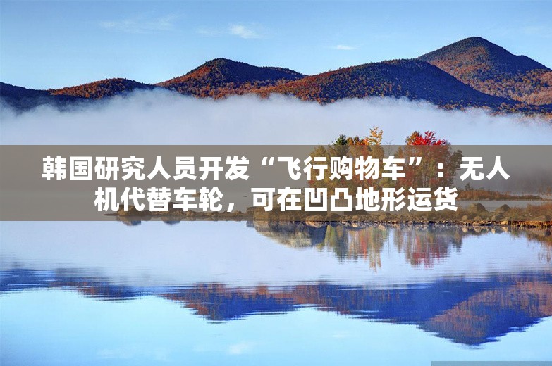 韩国研究人员开发“飞行购物车”：无人机代替车轮，可在凹凸地形运货