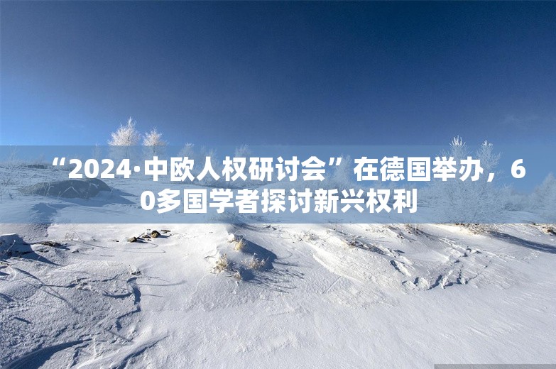 “2024·中欧人权研讨会”在德国举办，60多国学者探讨新兴权利