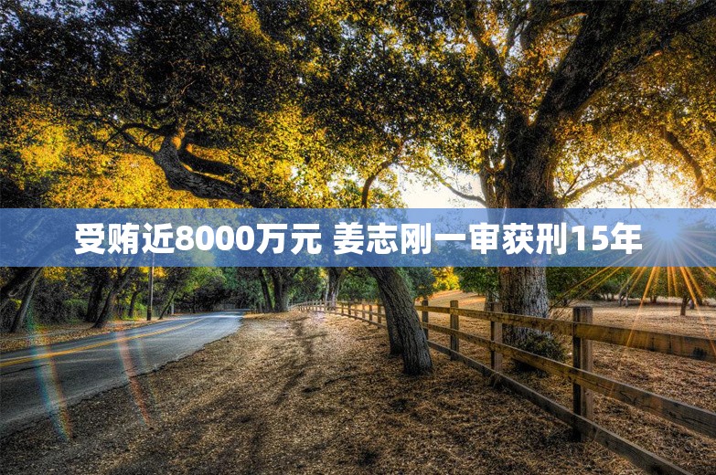 受贿近8000万元 姜志刚一审获刑15年