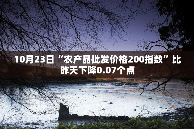 10月23日“农产品批发价格200指数”比昨天下降0.07个点