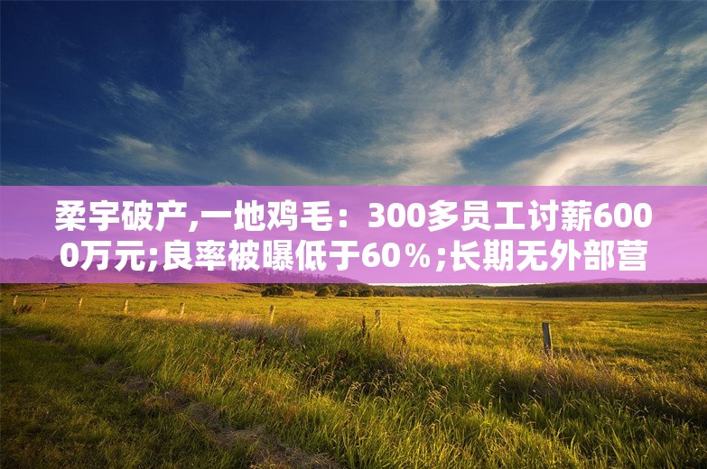 柔宇破产,一地鸡毛：300多员工讨薪6000万元;良率被曝低于60％;长期无外部营收