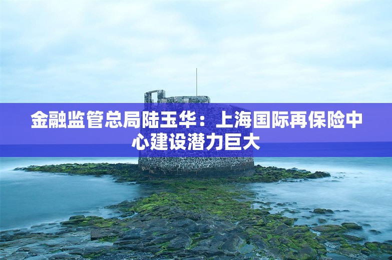 金融监管总局陆玉华：上海国际再保险中心建设潜力巨大