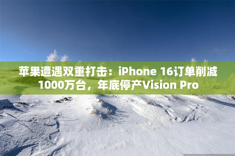 苹果遭遇双重打击：iPhone 16订单削减1000万台，年底停产Vision Pro