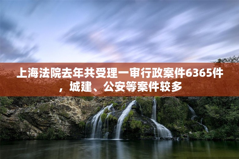 上海法院去年共受理一审行政案件6365件，城建、公安等案件较多