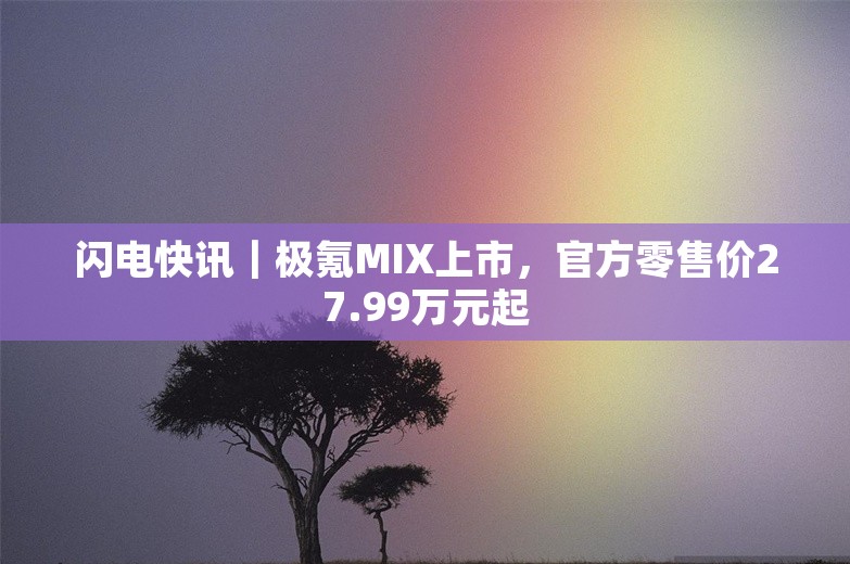 闪电快讯｜极氪MIX上市，官方零售价27.99万元起