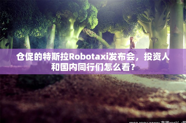 仓促的特斯拉Robotaxi发布会，投资人和国内同行们怎么看？