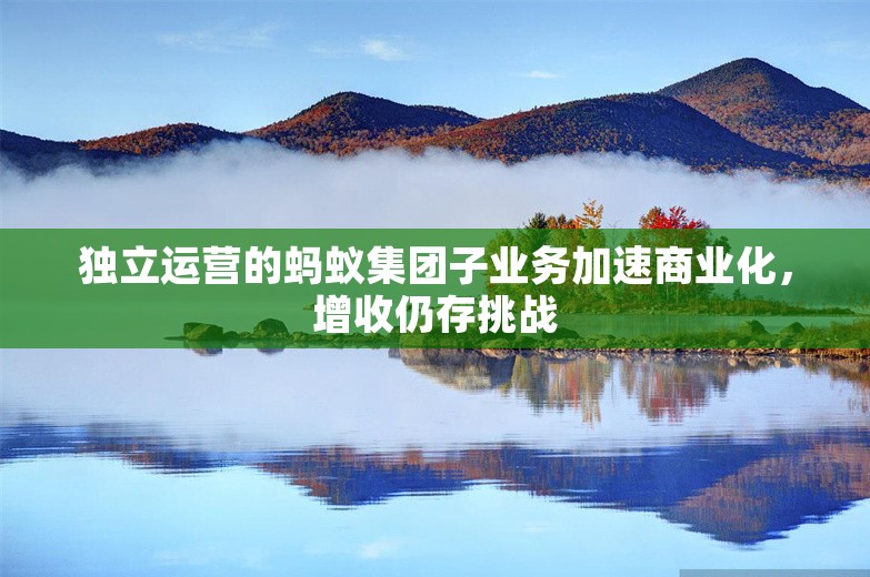 独立运营的蚂蚁集团子业务加速商业化，增收仍存挑战