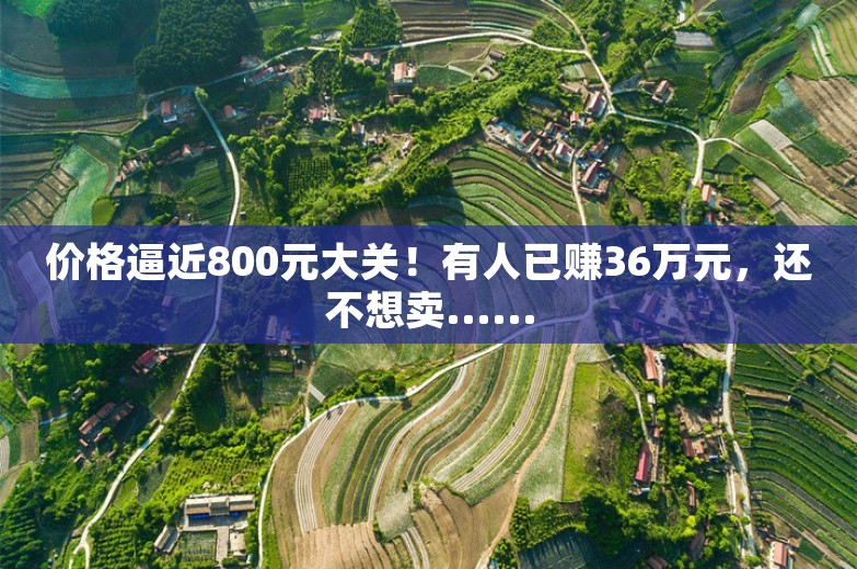 价格逼近800元大关！有人已赚36万元，还不想卖......