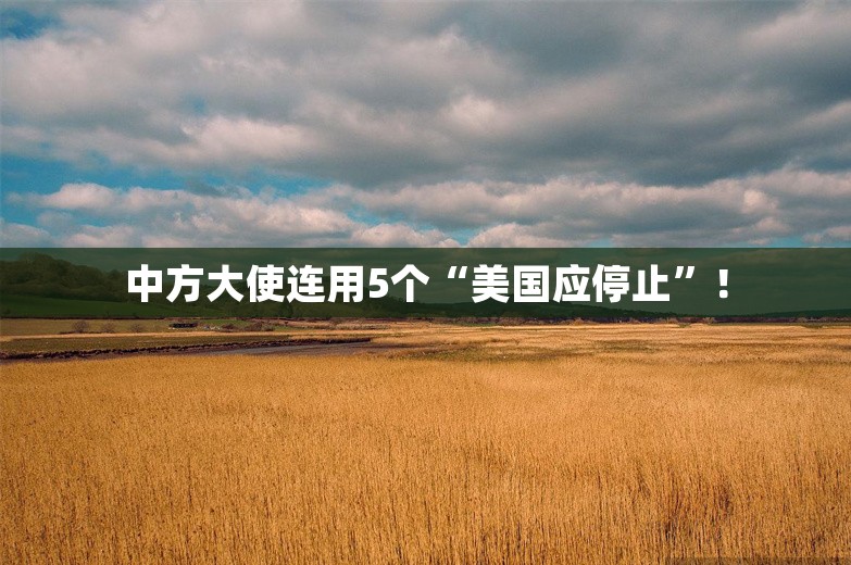 中方大使连用5个“美国应停止”！