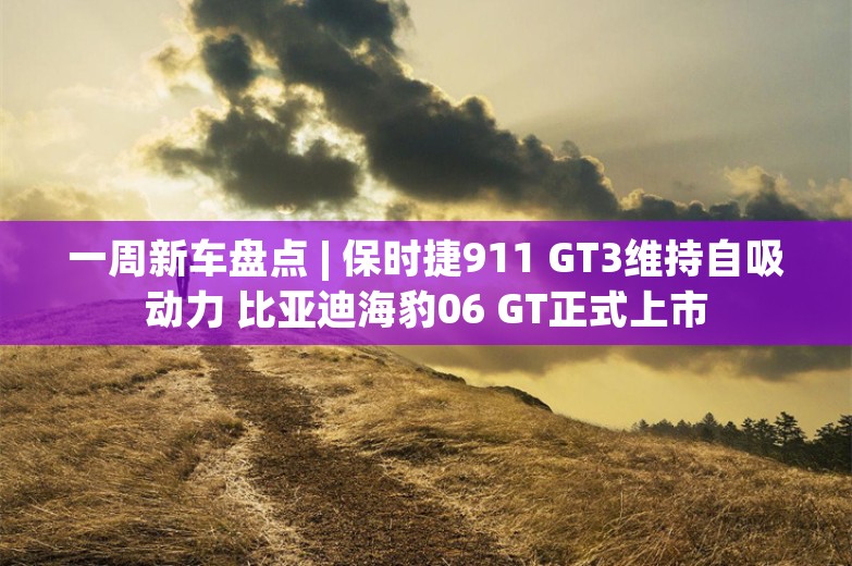 一周新车盘点 | 保时捷911 GT3维持自吸动力 比亚迪海豹06 GT正式上市