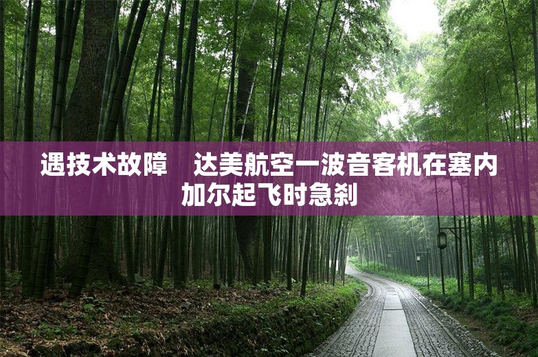 遇技术故障　达美航空一波音客机在塞内加尔起飞时急刹