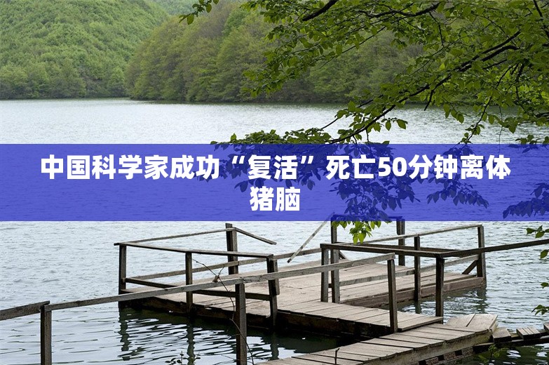 中国科学家成功“复活”死亡50分钟离体猪脑