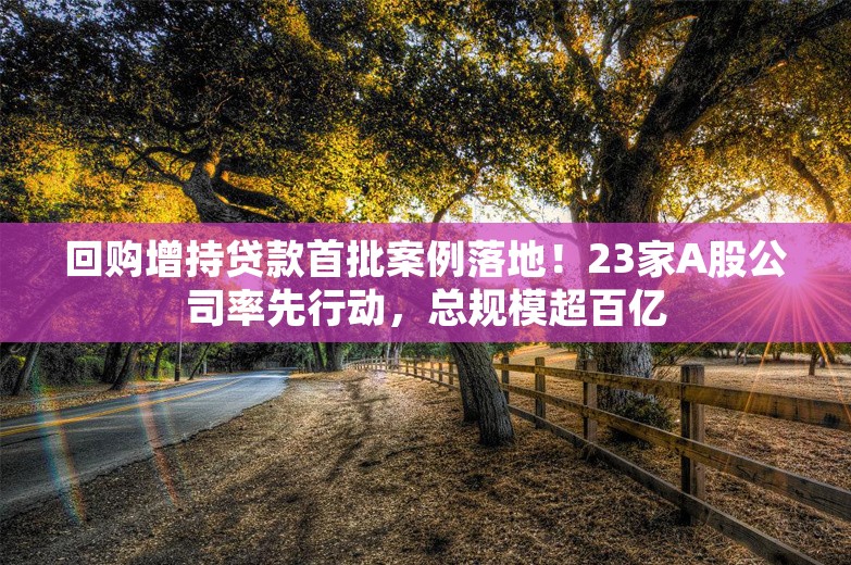 回购增持贷款首批案例落地！23家A股公司率先行动，总规模超百亿