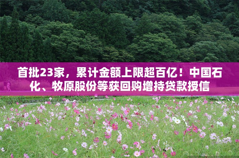 首批23家，累计金额上限超百亿！中国石化、牧原股份等获回购增持贷款授信